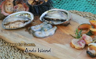 A Feast for Guests, Ando Island 1