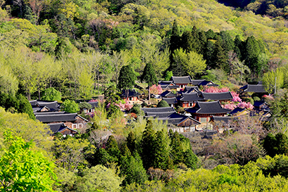 Seonamsa Temple and Suncheon Getbol