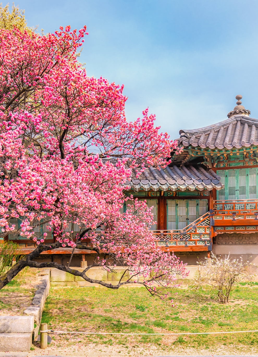 열개의 길 배경